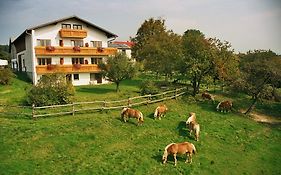 Biobauernhof Wolf-Hof